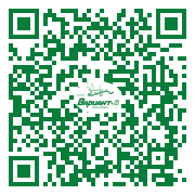 QR-код этой страницы