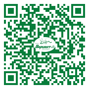 QR-код этой страницы