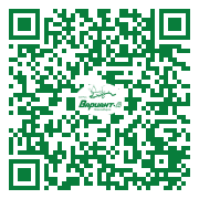 QR-код этой страницы
