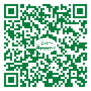 QR-код этой страницы