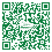 QR-код этой страницы