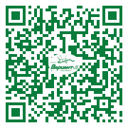 QR-код этой страницы