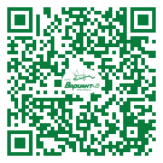 QR-код этой страницы