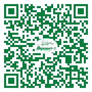 QR-код этой страницы