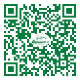 QR-код этой страницы