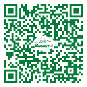 QR-код этой страницы