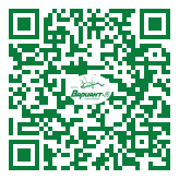 QR-код этой страницы