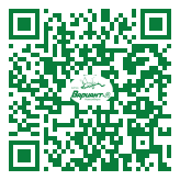 QR-код этой страницы