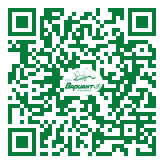 QR-код этой страницы