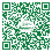 QR-код этой страницы