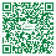 QR-код этой страницы