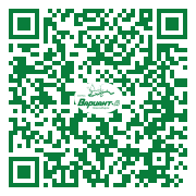 QR-код этой страницы