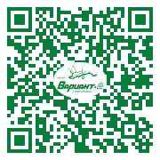 QR-код этой страницы