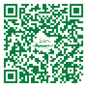 QR-код этой страницы