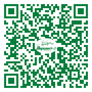 QR-код этой страницы