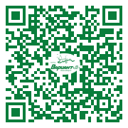 QR-код этой страницы