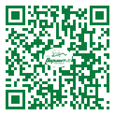 QR-код этой страницы