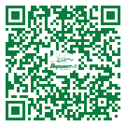 QR-код этой страницы