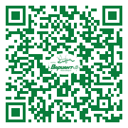 QR-код этой страницы