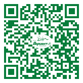 QR-код этой страницы