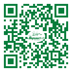 QR-код этой страницы