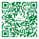 QR-код этой страницы