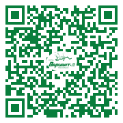 QR-код этой страницы