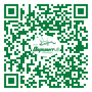 QR-код этой страницы