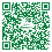 QR-код этой страницы