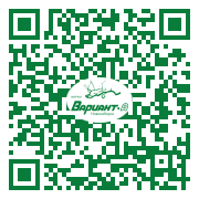 QR-код этой страницы