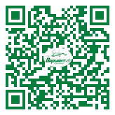 QR-код этой страницы