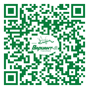 QR-код этой страницы