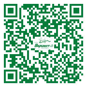 QR-код этой страницы