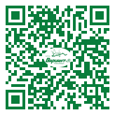 QR-код этой страницы
