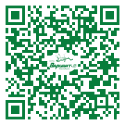 QR-код этой страницы