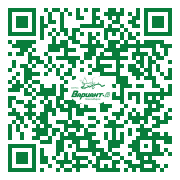 QR-код этой страницы