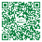 QR-код этой страницы