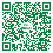 QR-код этой страницы