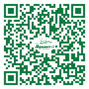 QR-код этой страницы