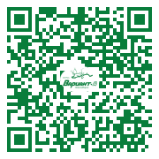 QR-код этой страницы