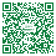 QR-код этой страницы