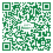 QR-код этой страницы