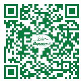 QR-код этой страницы