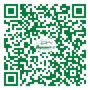 QR-код этой страницы