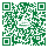 QR-код этой страницы