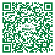 QR-код этой страницы