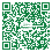 QR-код этой страницы