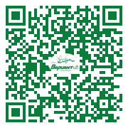 QR-код этой страницы