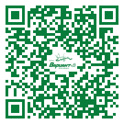 QR-код этой страницы