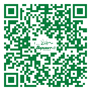 QR-код этой страницы